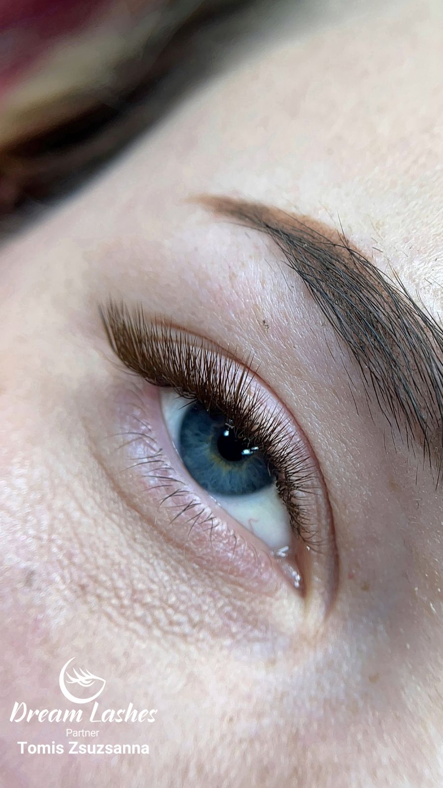 Tomis Zsuzsanna Szempilla Stylist Referenciamunka Dreamlashes