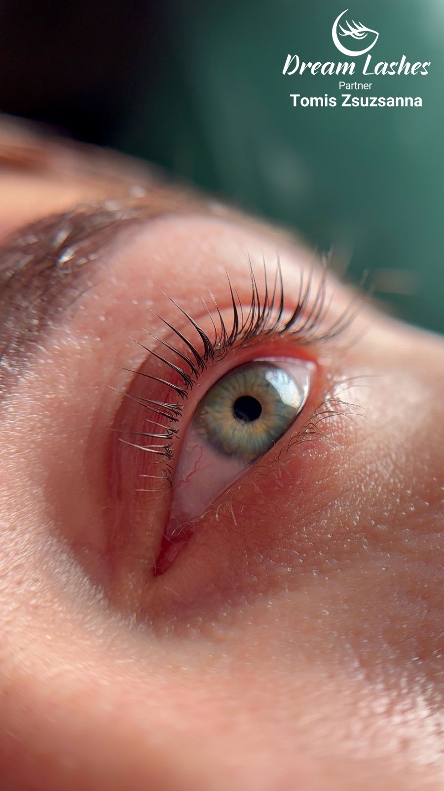 Tomis Zsuzsanna Szempilla Stylist Referenciamunka Dreamlashes