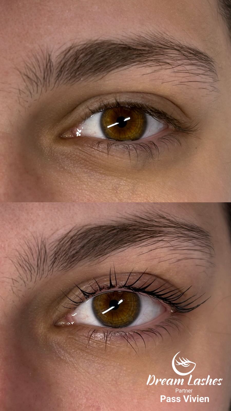 Dreamlashes_Pass Vivi munkája_6