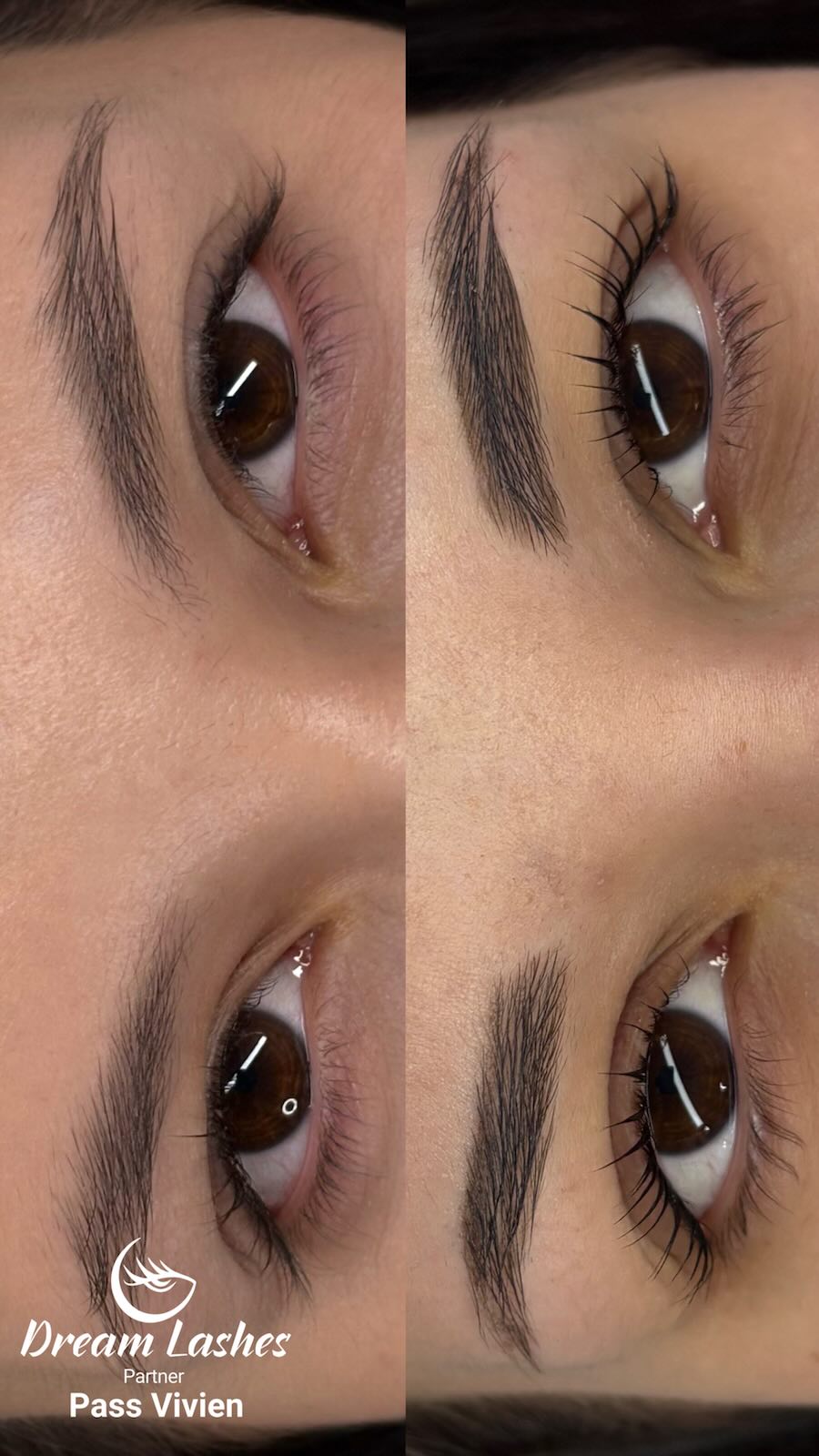 Dreamlashes_Pass Vivi munkája_7